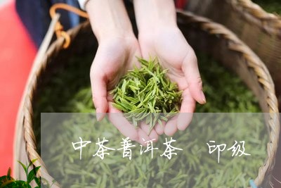 中茶普洱茶 印级/2023041131724